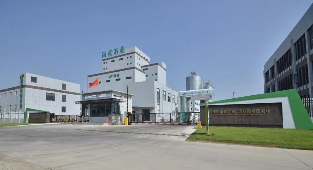 1742798195827269.jpg 804229471af141c08363d3d99e48b7f6.jpg